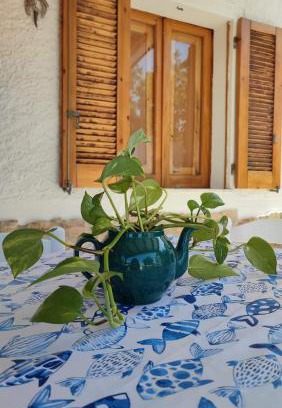 Badesi House | Casa Giulia Badesi