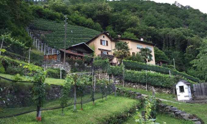 Roveredo Apartment | Casa immersa nel vigneto