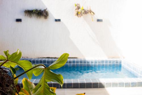 Passo de Camaragibe House | Casa Kayak - Villa Remo Milagres piscina PRIVATIVA