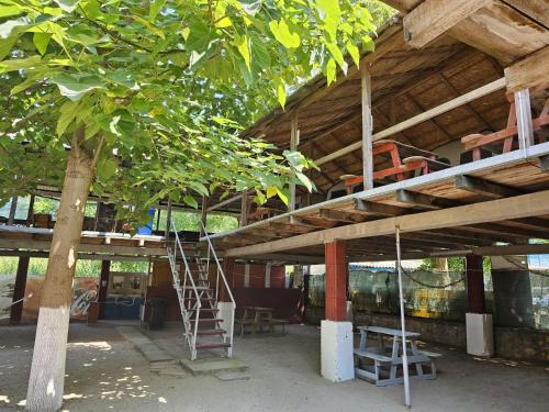 Vama Veche House | casa la meduza