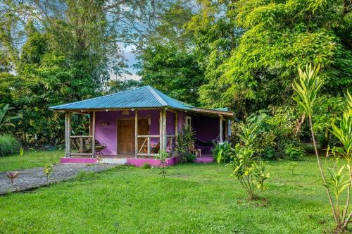 Manzanillo House | Casa Lavanda in tropical jungle garden