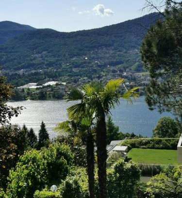 Collina d'Oro Apartment | Casa le palme -Montagnola