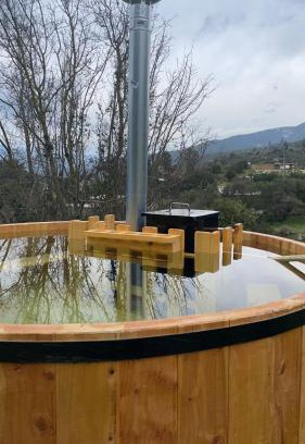 Curacavi House | Casa los Boldos
