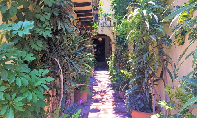 Colonia San Antonio House | Casa Lucia! House located in San Miguel de Allende. Colonial House.!