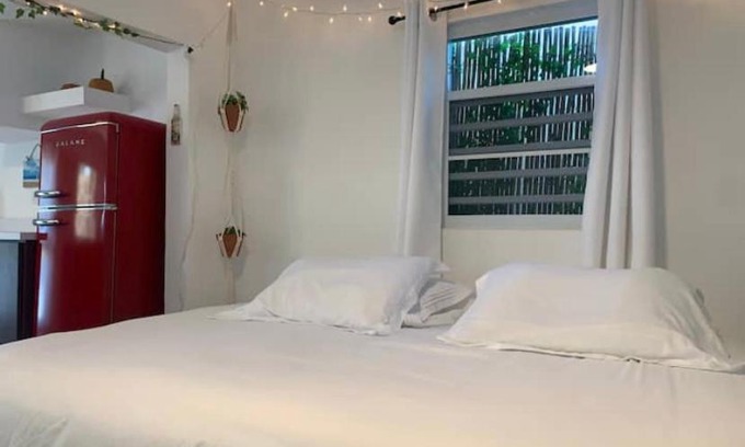 Islote House | Casa mango