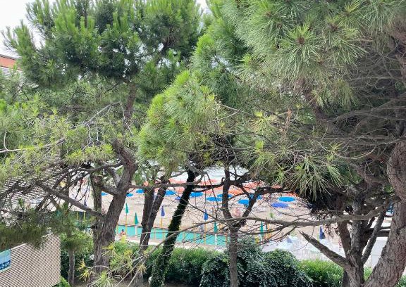 Lignano Sabbiadoro Apartment | Casa Mare 310