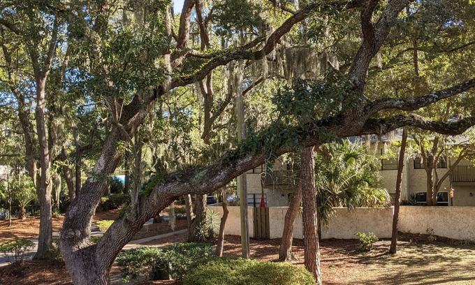 Palmetto Dunes Condo | Casa Maria
