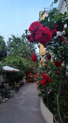Bucharest City-Centre House | Casa Michelangelo