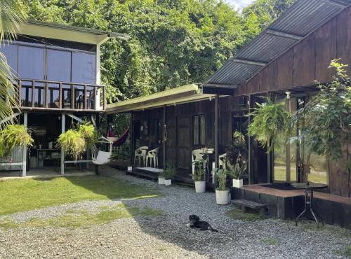 Uvita Cabin | Casa Morpho Uvita Guesthouse