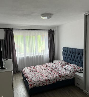 Obarsia-Closani Apartment | Casa Noni Via Transilvanica