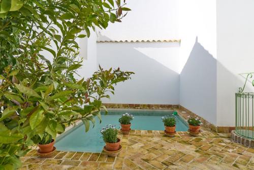 Espejo House | Casa Palacio Vida