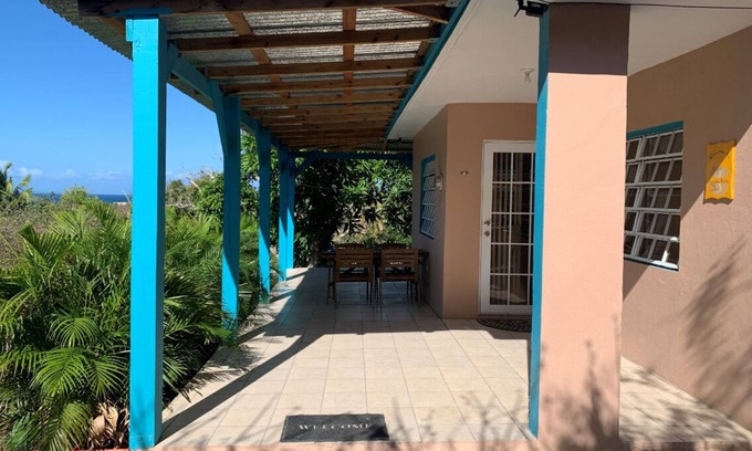 Bravos de Boston House | Casa Paradise Palms! Beautiful views from the rooftop. Walk to ferry/beach.