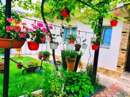 Vama Veche House | Casa Razvan Vama Veche