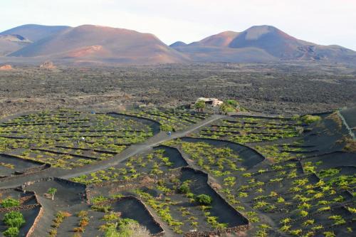 La Geria House | Casa Rural Vega de Timanfaya