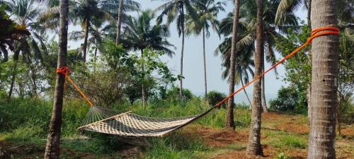 Kannur House | Casa Shanti