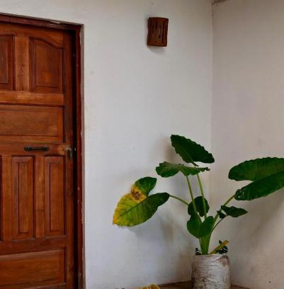 El Gigante House | Casa Sirenas