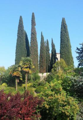 San Felice del Benaco Apartment | Casa Sol
