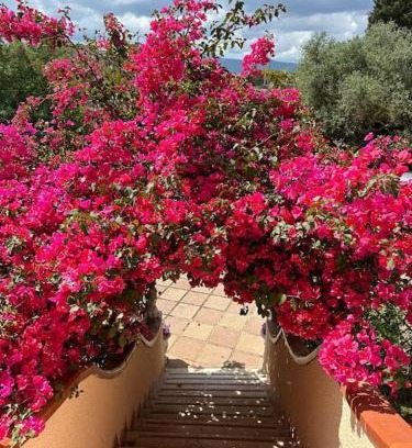 Iglesias Apartment | Casa Vacanze La Brii