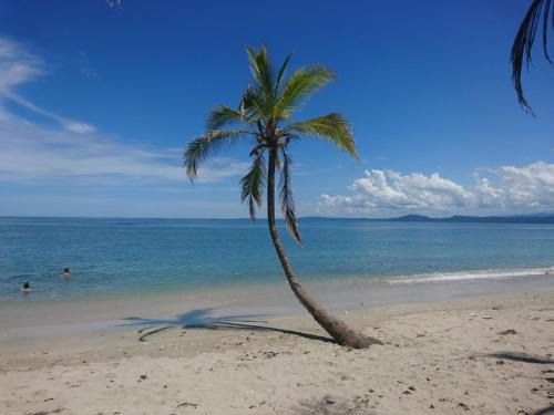 Cahuita House | Casa Verde, Cahuita