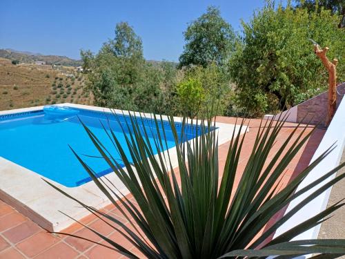 Sedella Apartment | Casa Wenne - Private Pool with view