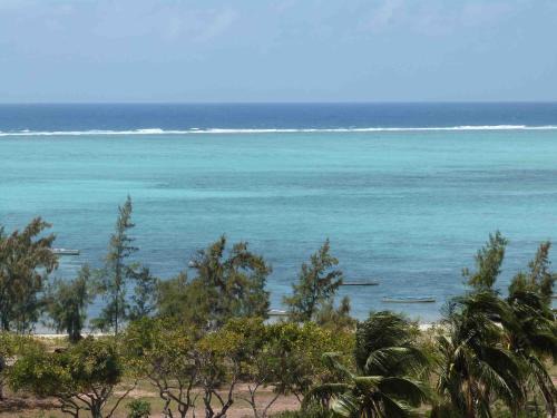 Coromandel House | Case Corail Bleue