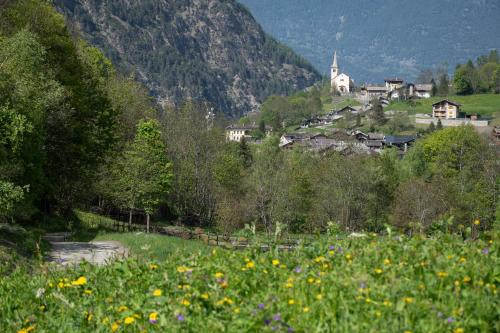 Coveyrand-Vieu Apartment | Case Gran Paradiso Rhemes Saint Georges