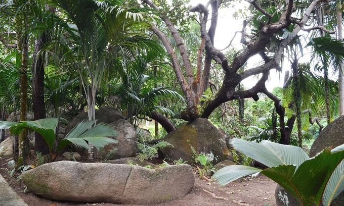 Mahe Island House | Cashew Nut Grove Chalets