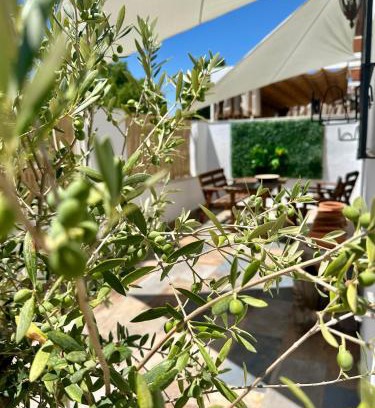 Aldea Quintana House | Casita del Olivo