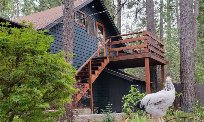 Idyllwild Apartment | Casita Ranchita Mountain Loft in Town