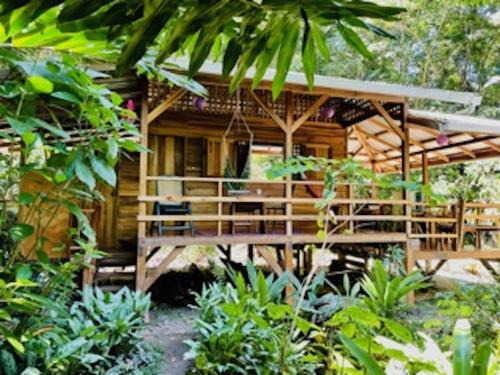Manzanillo House | Casonita