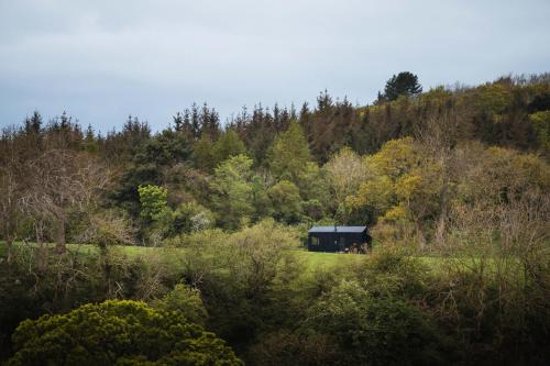 St George House | Castor