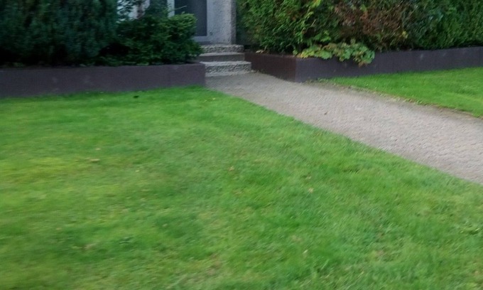 Altenau Apartment | Cat Friendly Vacation Rental K-3-D-3 - Cat Friendly Vacation Rental