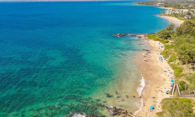 Kihei Condo | 🐬Catch the Whales and the Waves | Discount | Free Parking | Pool🐬