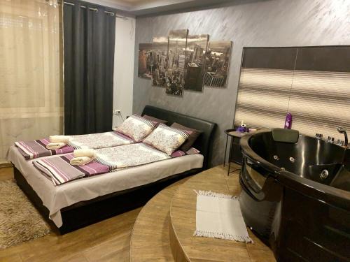 Medijana Apartment | Ceca Apartman