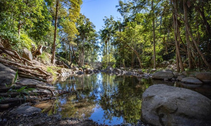 Tamborine Mountain Resort | Cedar Creek Lodges