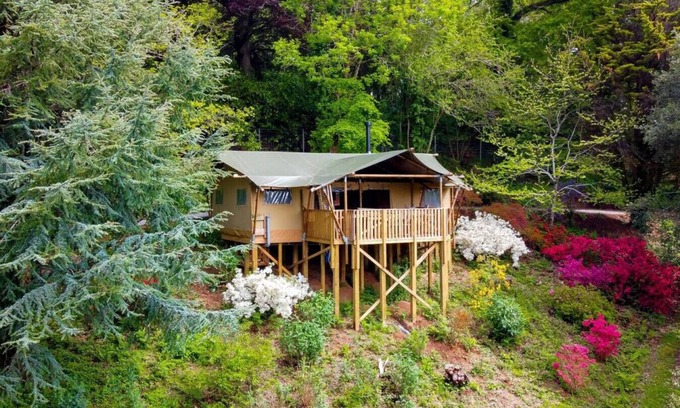 Kingsbridge Cabin | Cedar Lodge @ Lower Coombe Royal- with Hot Tub