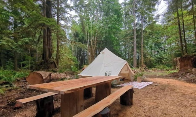 Lake Cowichan RV Rental | Cedar Palace