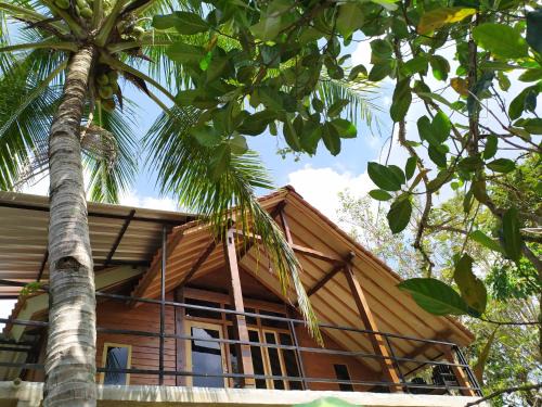 Kalirejo House | Cengkeh homestay