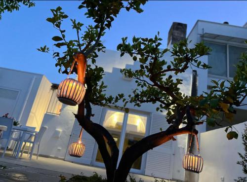 Felline House | CENTO FOGLIE la dimora del borgo