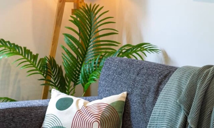 Christchurch City Centre House | Central Convenience: Stroll to Margaret Mahy Park