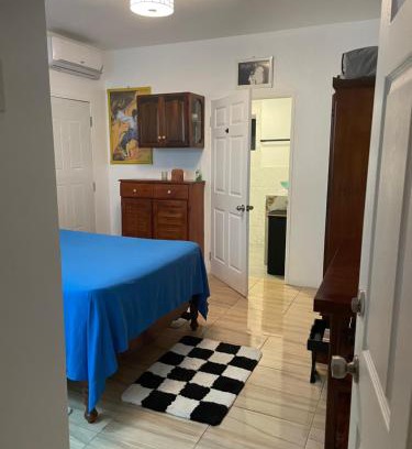 Port Antonio House | Centrally Located Room - 5