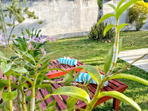 Ambalangoda House | Ceylon Little Paradise