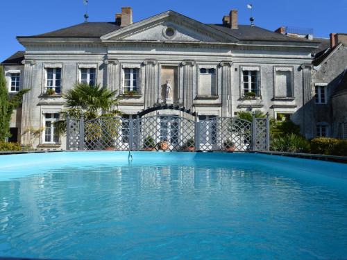 Chatillon-sur-Indre House | Château Authentique avec Piscine Privée, Proche Châteaux de la Loire et Zoo de Beauval - FR-1-381-485