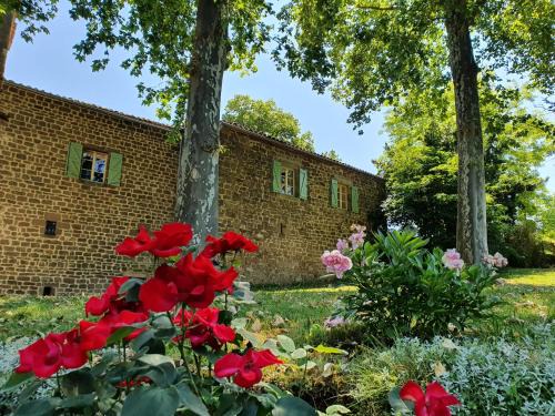 Saint-Marcel-Campes House | Château Labistoul