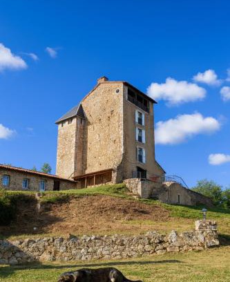 Montegut Bed & Breakfast | Château Montegut Rustique