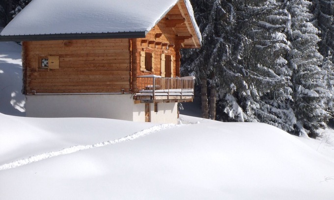 Bisanne 1500 Ski Chalet | chalet - 3 rooms - 4/6 persons