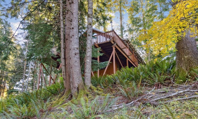Ashford Cabin | Chalet At Rainier Lodge 3 Bedroom Cabin
