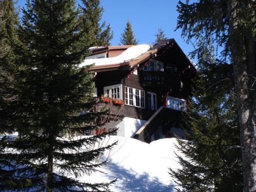 Arosa Apartment | Chalet Baur