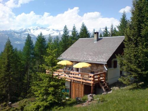 Rosswald Apartment | Chalet Bergfriede