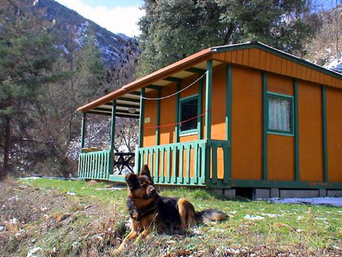 Escaro Other | chalet-bungalow ombragé